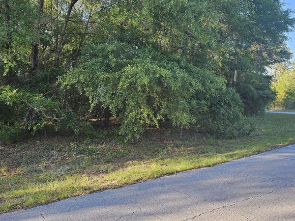 Lot 10 Janet Circle , Chipley, FL 32428