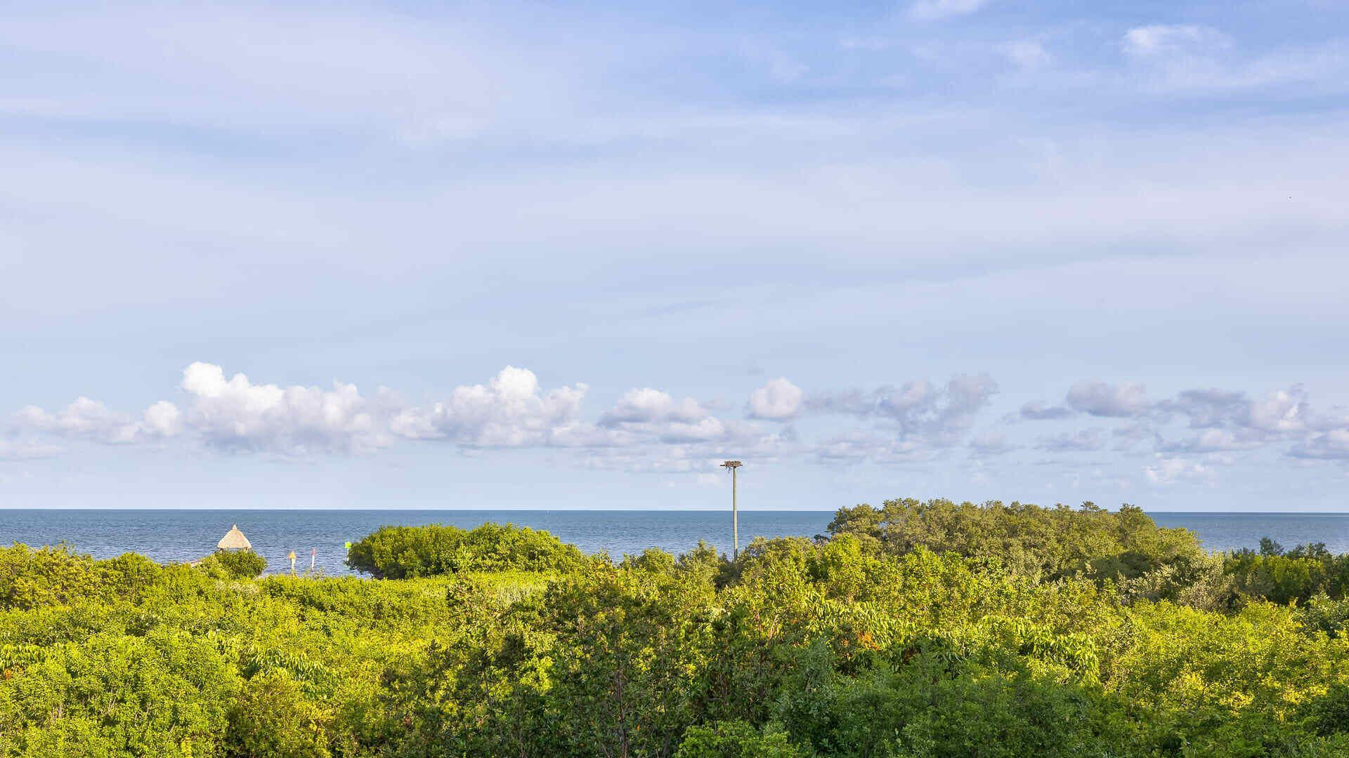 500 Burton Drive, Unit 5308, Tavernier, FL 33070 Photo