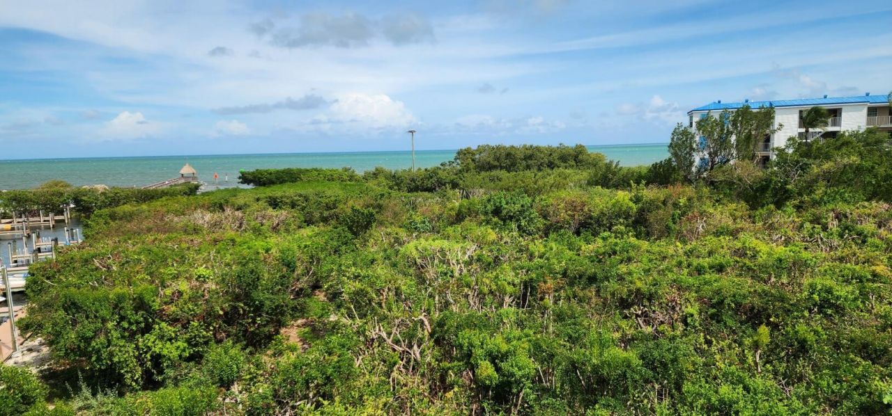500 Burton Drive, Unit 5308, Tavernier, FL 33070 Photo