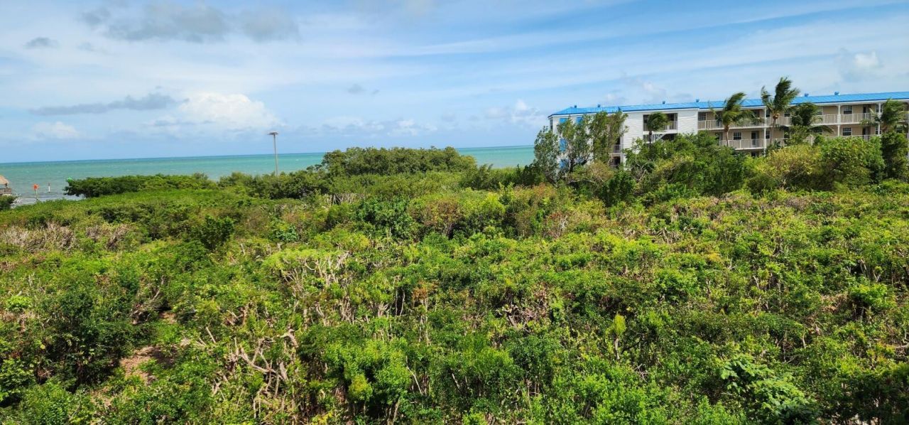 500 Burton Drive, Unit 5308, Tavernier, FL 33070 Photo