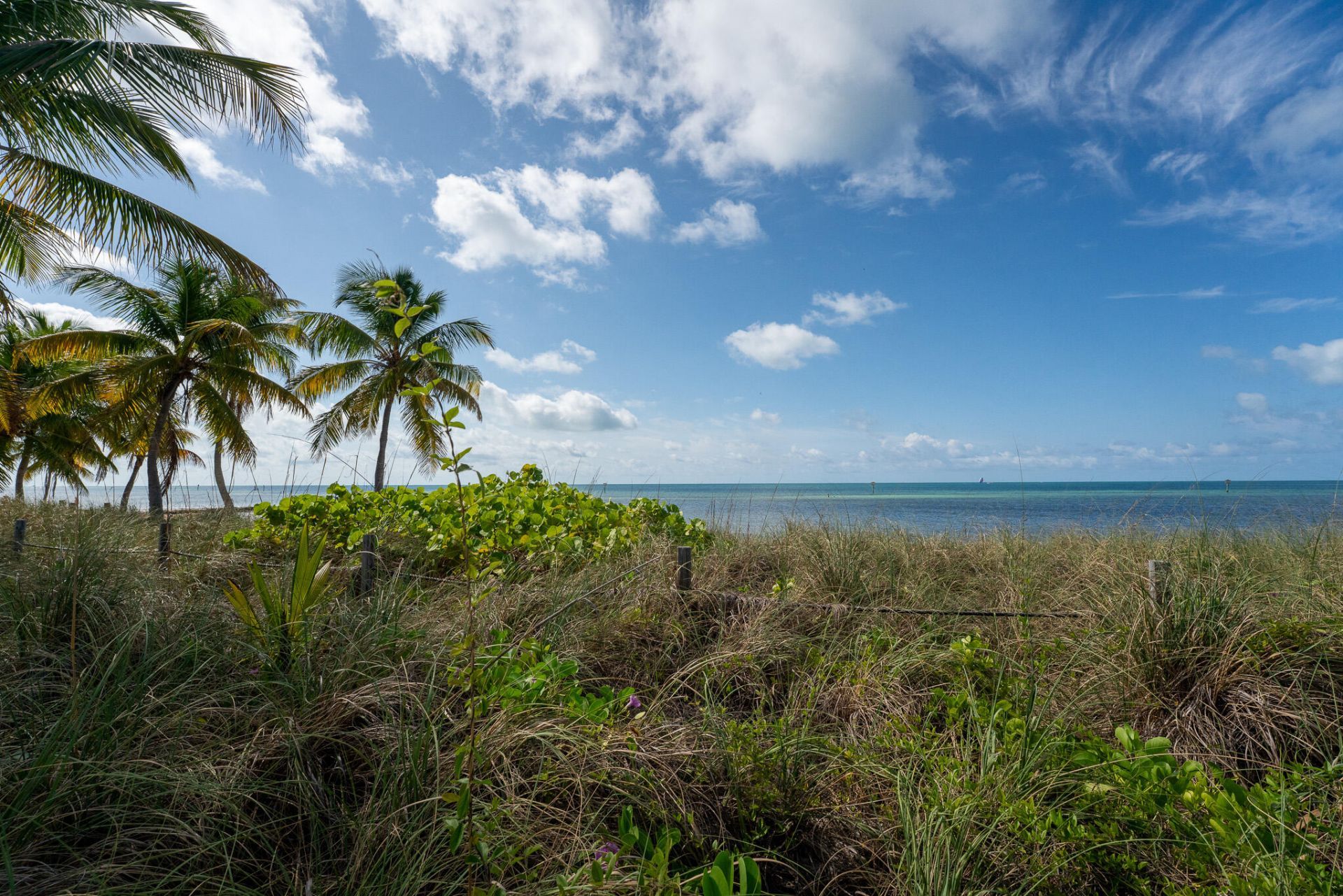 2601 S Roosevelt Boulevard, Unit APT 103C, Key West, FL 33040 Photo