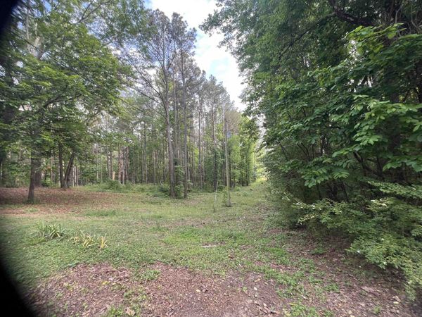 97 A Pinehaven Dr, Tuscumbia, AL 35674