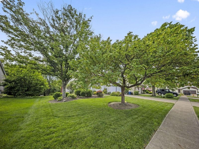 941 Mastin Place, Reynoldsburg, OH 43068 Photo 3