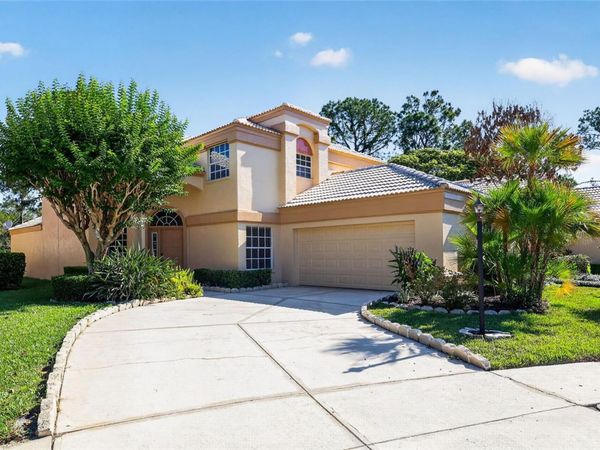 9314 FAIRWAY LAKES COURT , TAMPA, FL 33647