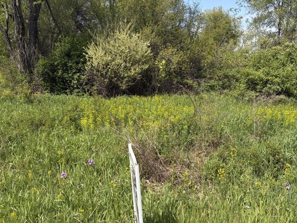 971 106th Avenue, Plainwell, MI 49080
