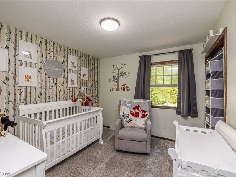 6700 Arlington Drive, Westfield Center, OH 44251 Photo 19