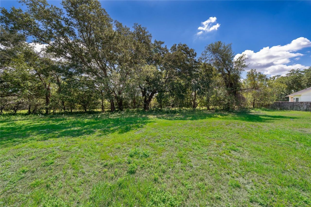1914 Bonanza Court, Winter Park, FL 32792 Photo