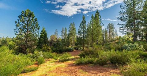 10571 Sebastopol Rd, North San Juan, CA 95960 Photo
