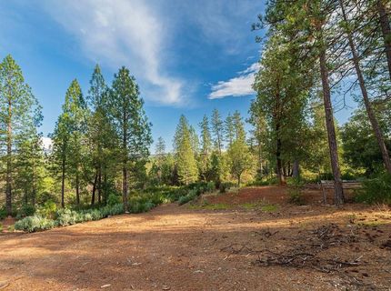10571 Sebastopol Rd, North San Juan, CA 95960 Photo