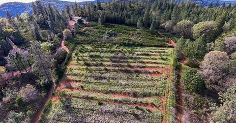 10571 Sebastopol Rd, North San Juan, CA 95960 Photo