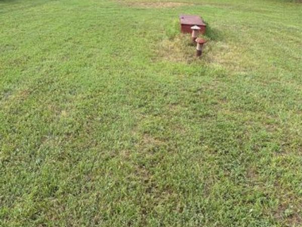 733 Rambler, Albany, TX 76430