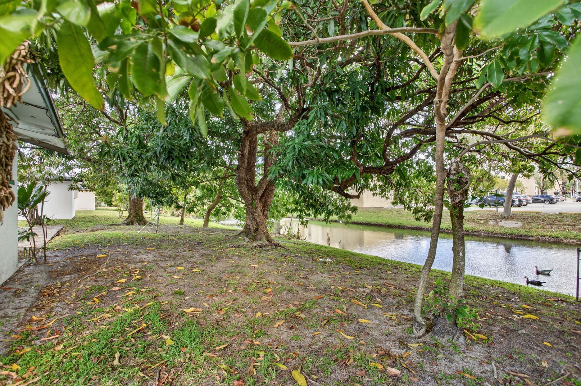 2540 NW 34th Terrace, Lauderdale Lakes, FL 33311 Photo