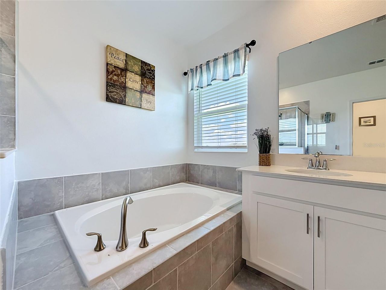 6013 Claystone Way, Mount Dora, FL 32757 Photo