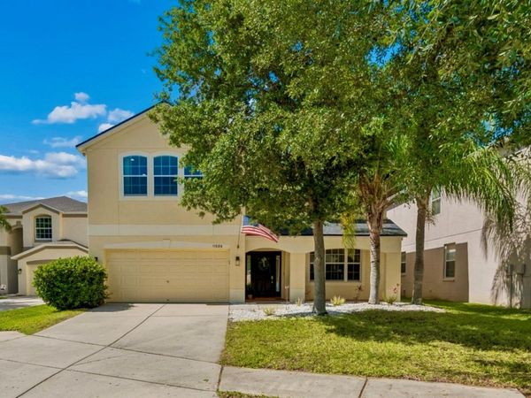 11509 DUTCH IRIS DRIVE , RIVERVIEW, FL 33578