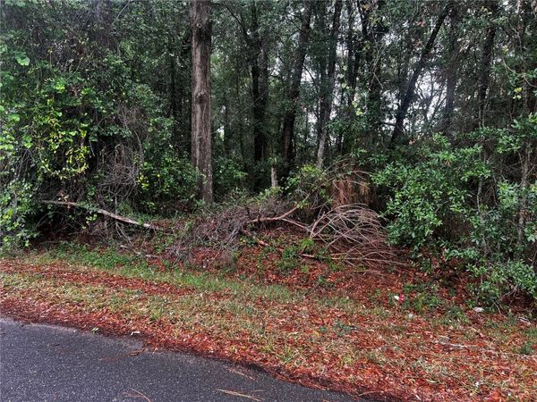 TBD NW 61ST LN. , Ocala, FL 34482