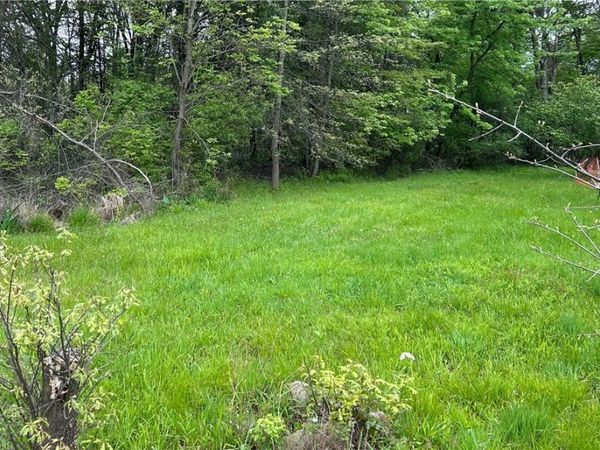 Ridley Avenue, Youngstown, OH 44505