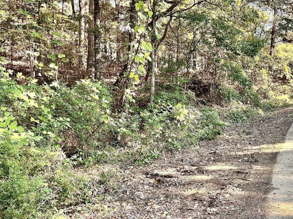 0 Snow Lake Drive, Ashland, MS 38603