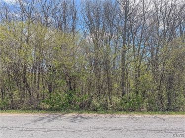 Old Town Springs Road, Chaumont, NY 13622