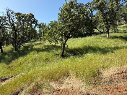 3 Boulder Way, Smartville, CA 95977 Photo