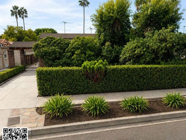 8946 Olin Street, Los Angeles, CA 90034
