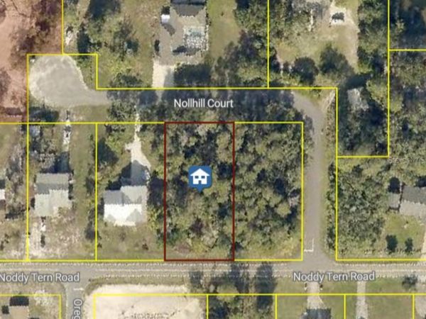 10185 NODDY TERN ROAD , WEEKI WACHEE, FL 34613