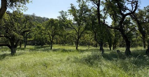 2 Boulder Way, Smartville, CA 95977 Photo