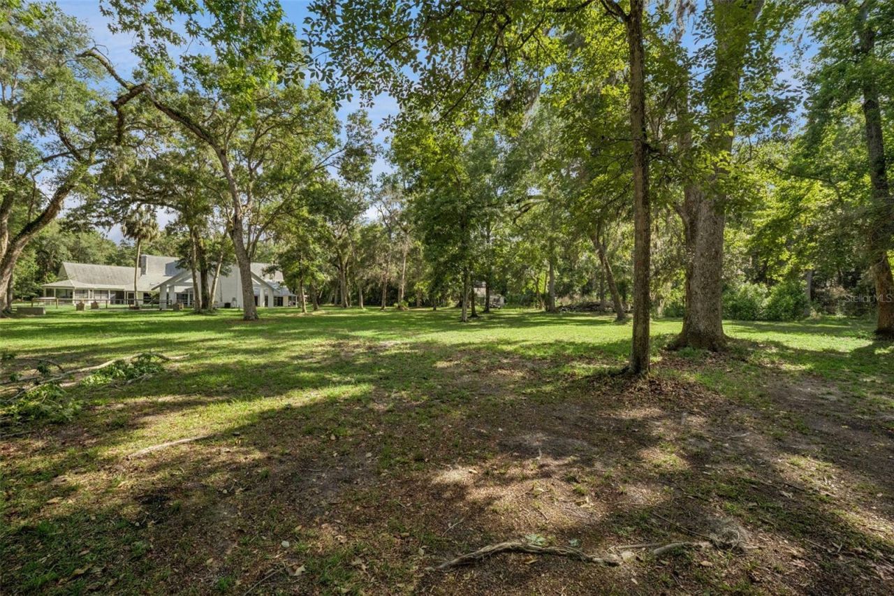 21033 Violet Road, Brooksville, FL 34601 Photo