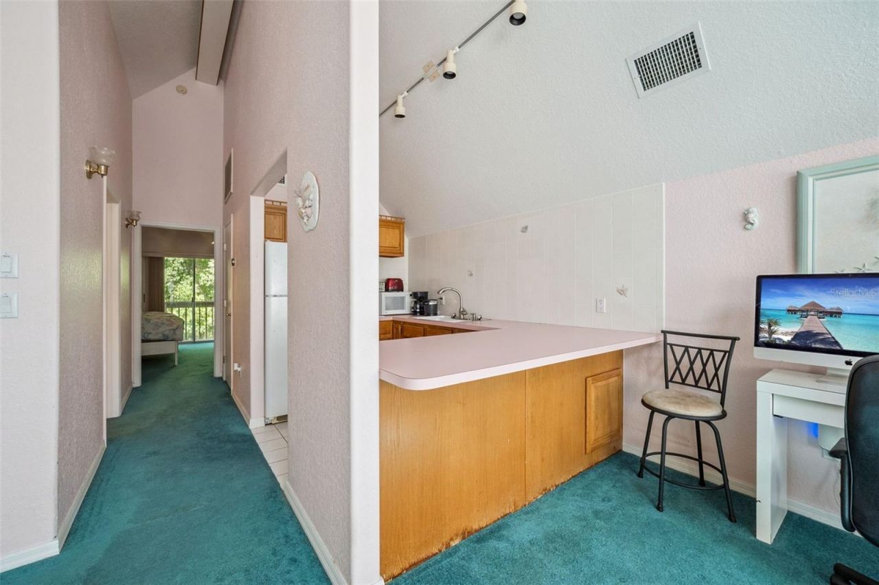 21033 Violet Road, Brooksville, FL 34601 Photo