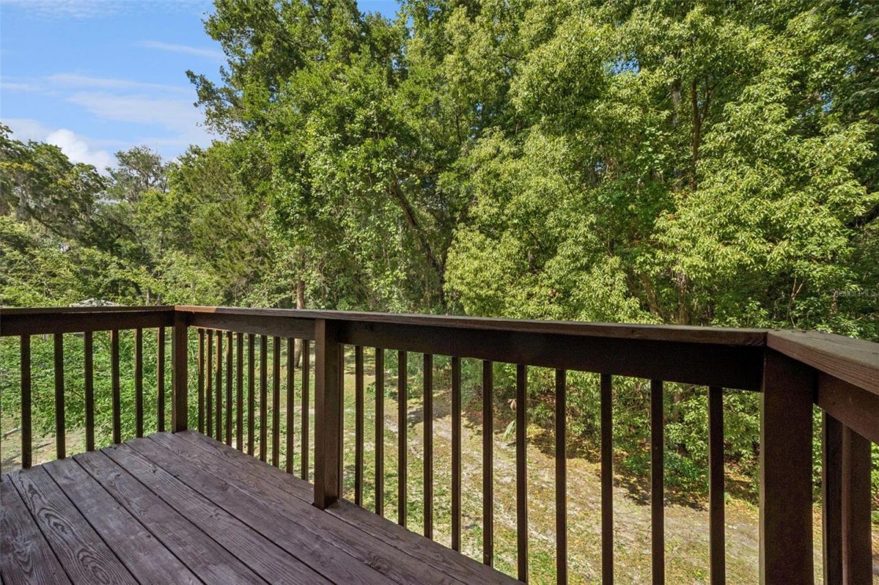 21033 Violet Road, Brooksville, FL 34601 Photo