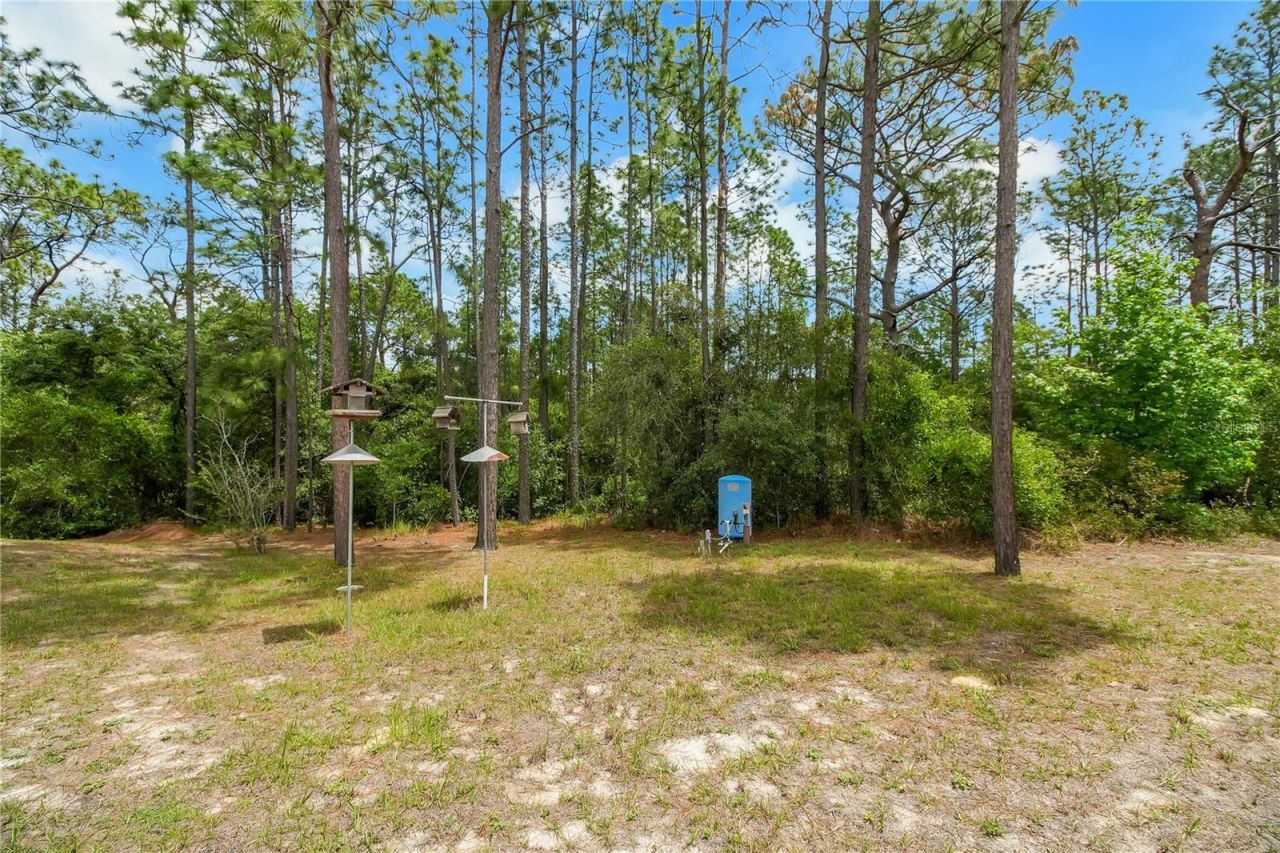 20831 SW 59th Lane , Dunnellon, FL 34431 Photo