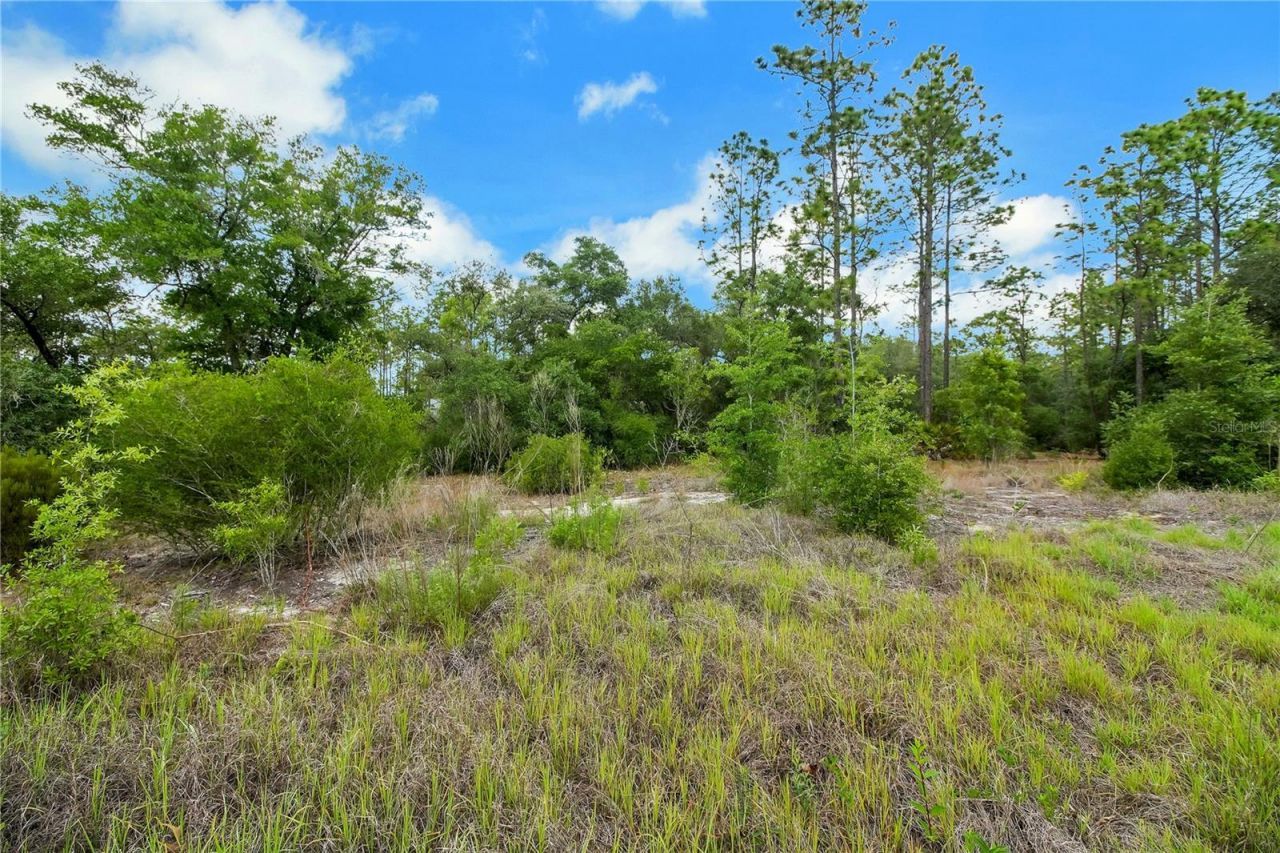 20831 SW 59th Lane , Dunnellon, FL 34431 Photo