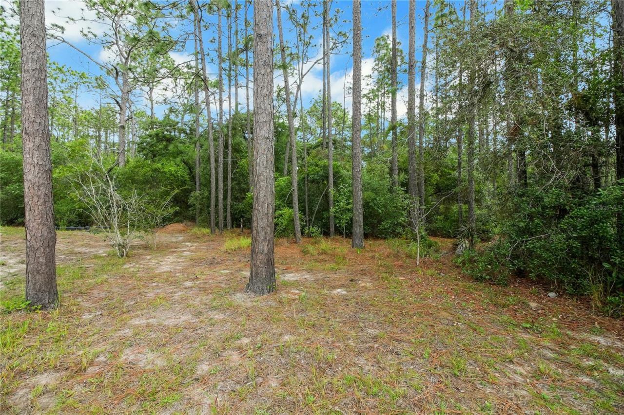 20831 SW 59th Lane , Dunnellon, FL 34431 Photo