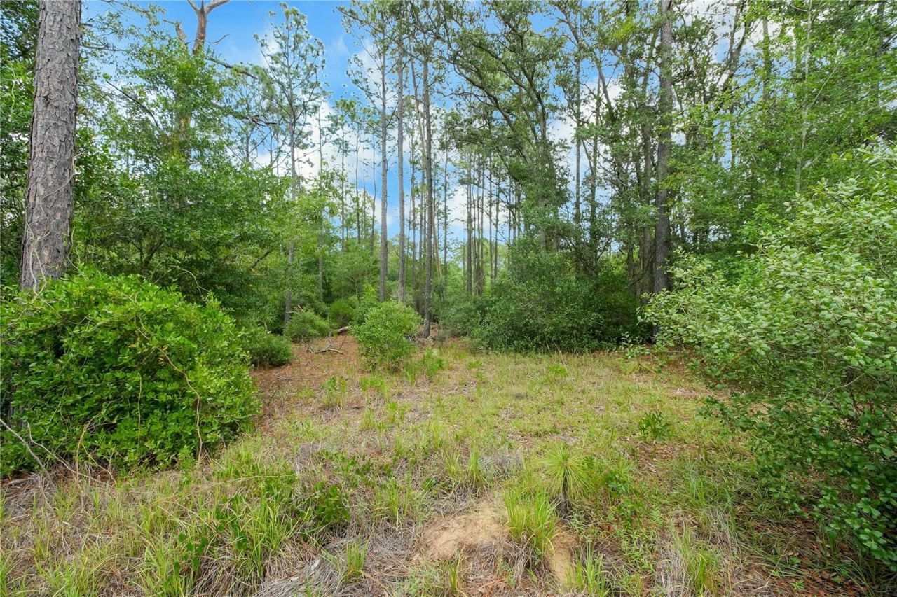 20831 SW 59th Lane , Dunnellon, FL 34431 Photo