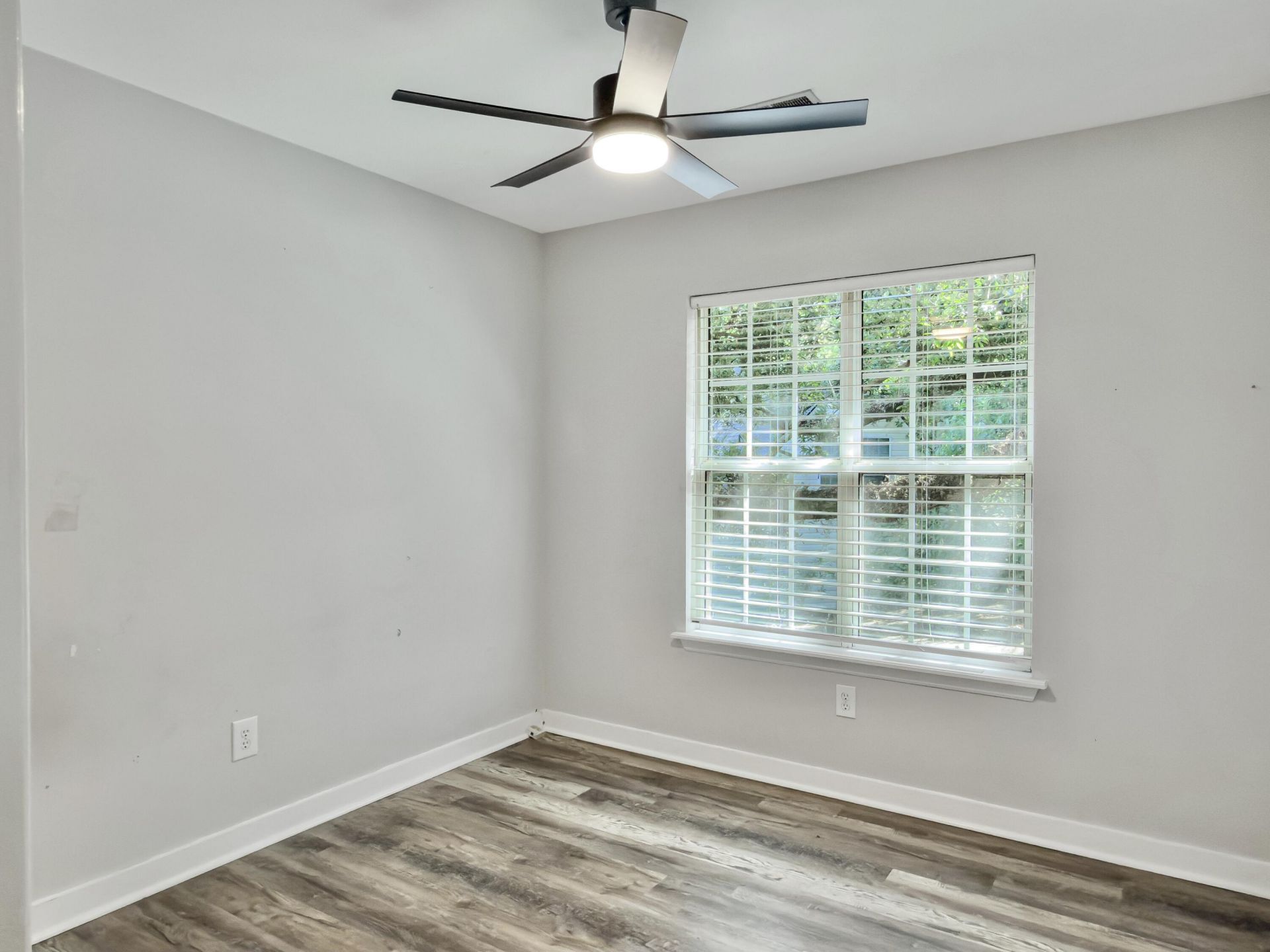 1247 Center Lake Drive Photo 24