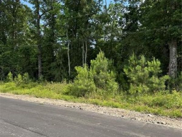 Tract 1-C LOWER ROME Road , Springfield, LA 70462