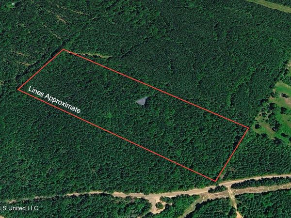 Hamilton Road, Prentiss, MS 39474
