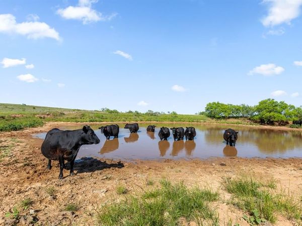 TBD Dutton , Ringgold, TX 76261