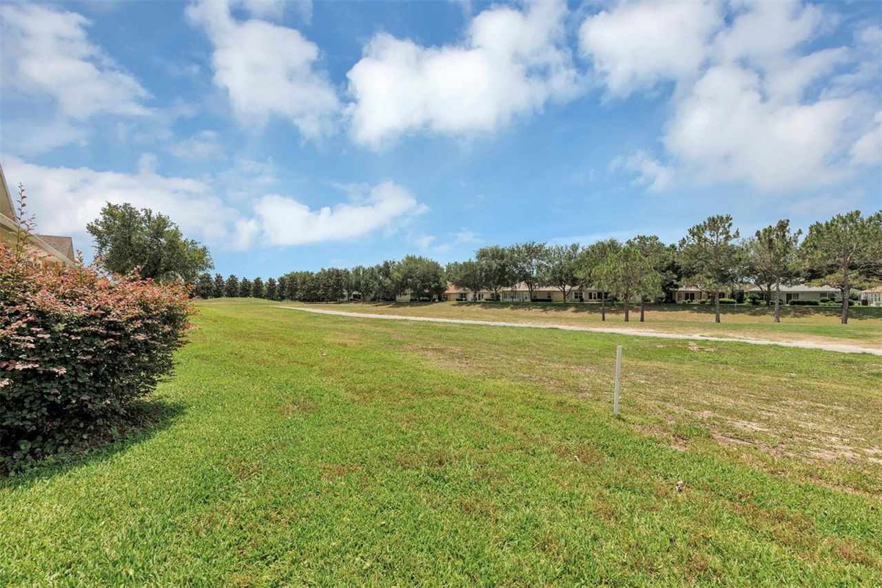 26922 White Plains Way, Leesburg, FL 34748 Photo