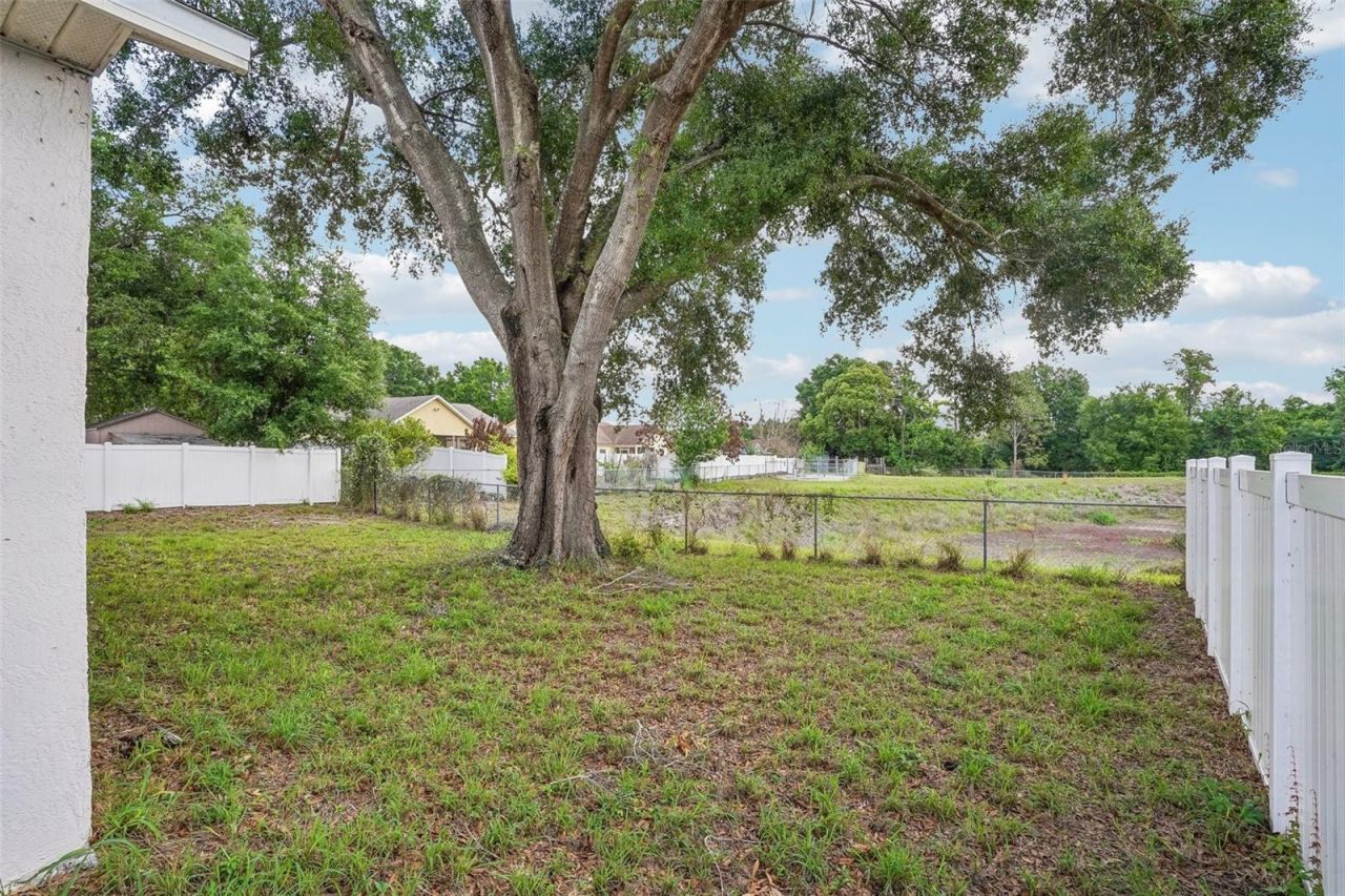 2596 Alclobe Circle, Ocoee, FL 34761 Photo