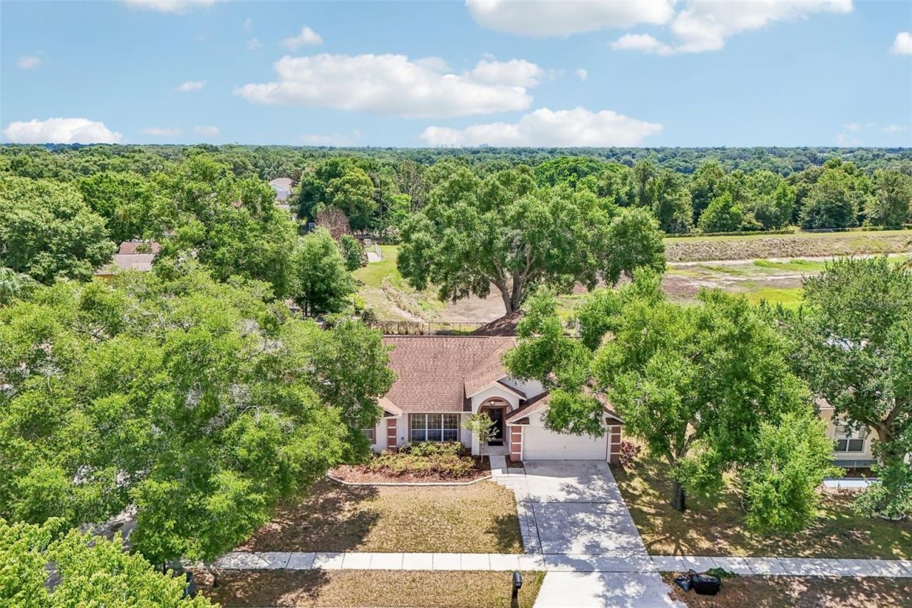 2596 Alclobe Circle, Ocoee, FL 34761 Photo