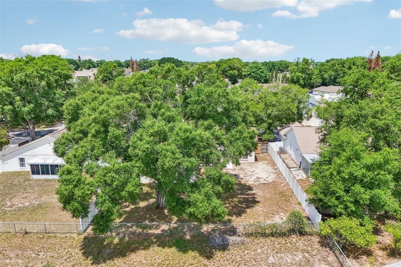 2596 Alclobe Circle, Ocoee, FL 34761 Photo