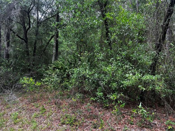 TBD SW 186TH CT. , DUNNELLON, FL 34432