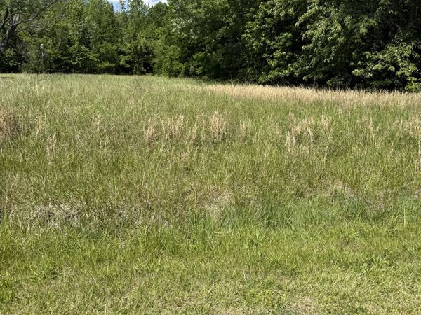 0 Dawn Dr , Unit 63, Cedar Hill, TN 37032