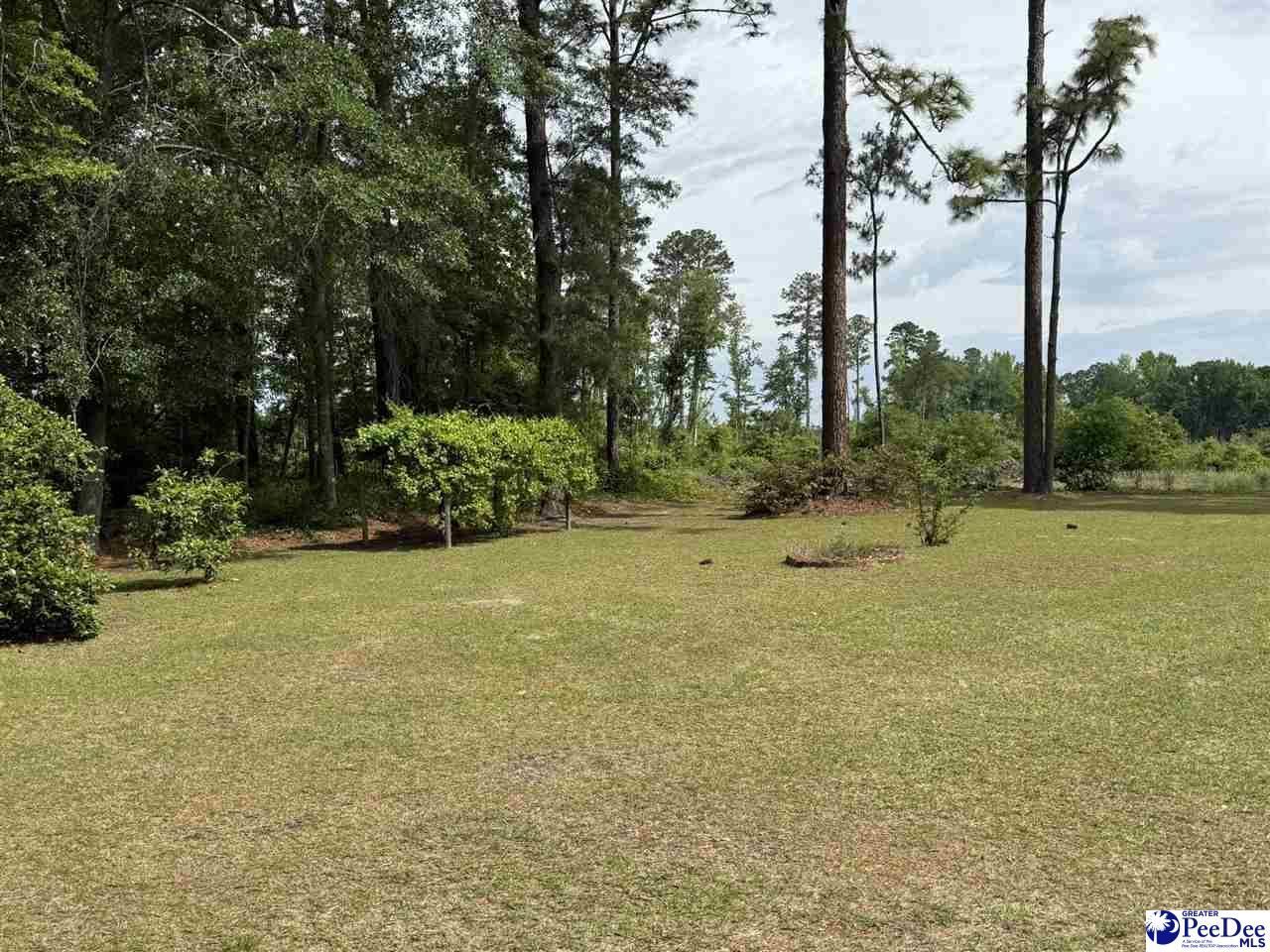 2134 Arrie Rd Photo 42