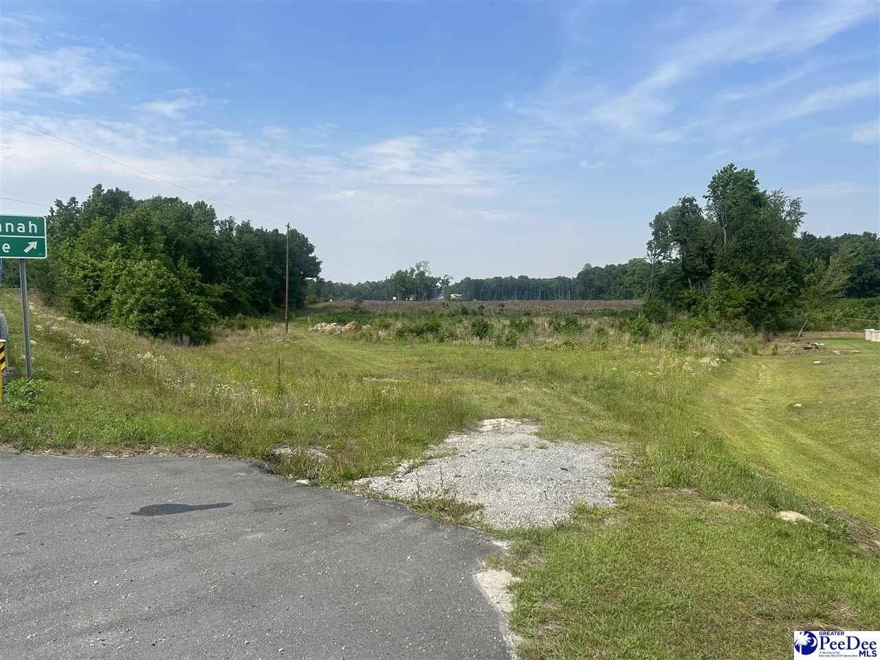 Tbd Cale Yarborough Hwy Photo 5