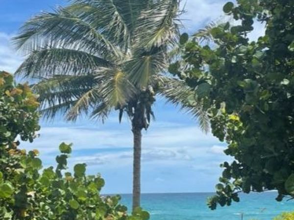 291 Mercury Road, Unit 2, Juno Beach, FL 33408