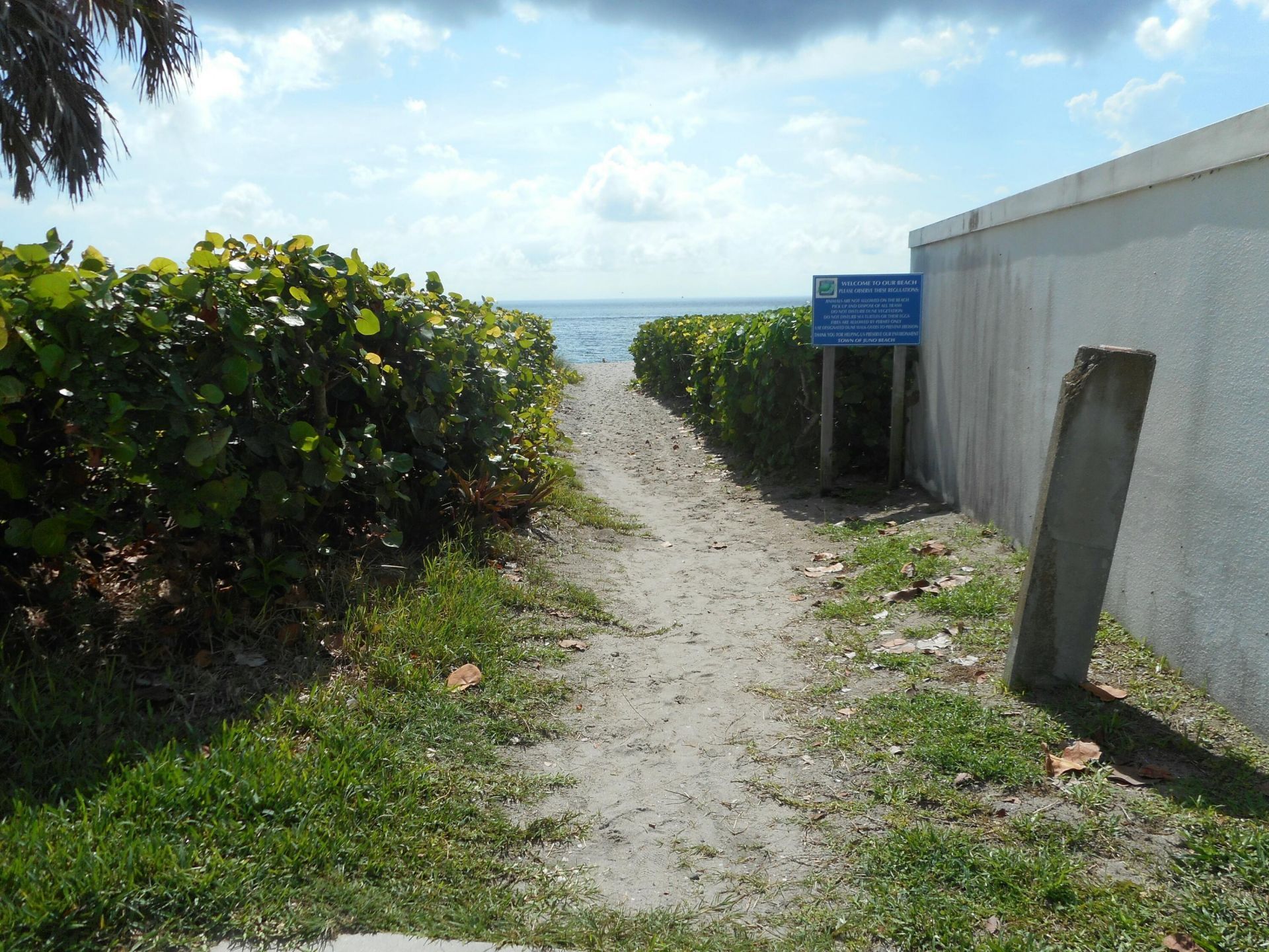 291 Mercury Road, Unit 2, Juno Beach, FL 33408 Photo