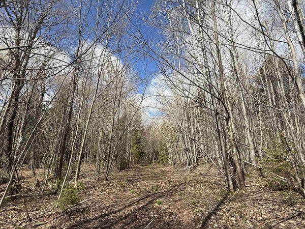Off Black River Road, Ironwood Twp, MI 49911