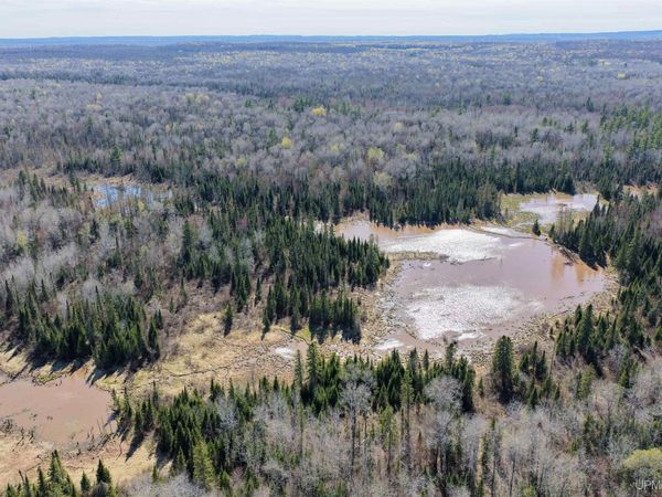 TBD BURMA Road, McMillan Twp, MI 49925