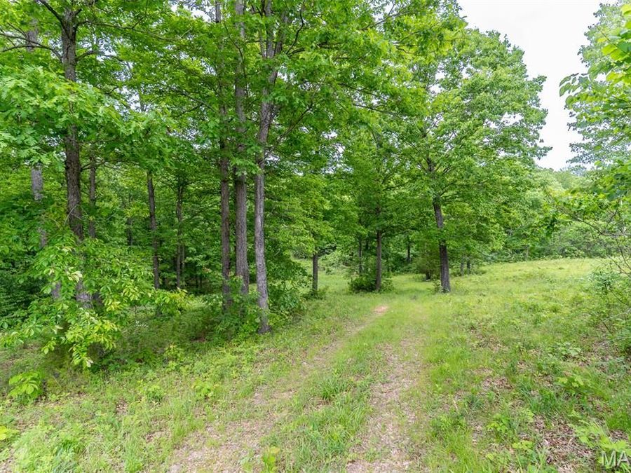 Property Image 35